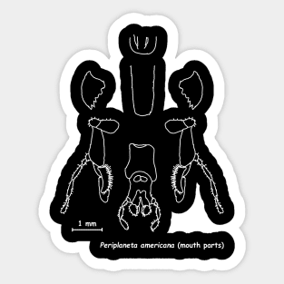 Cockroaches mouthparts Sticker